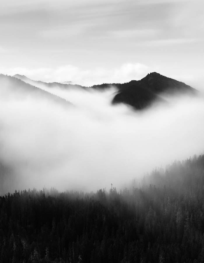 First light — placeholder photograph