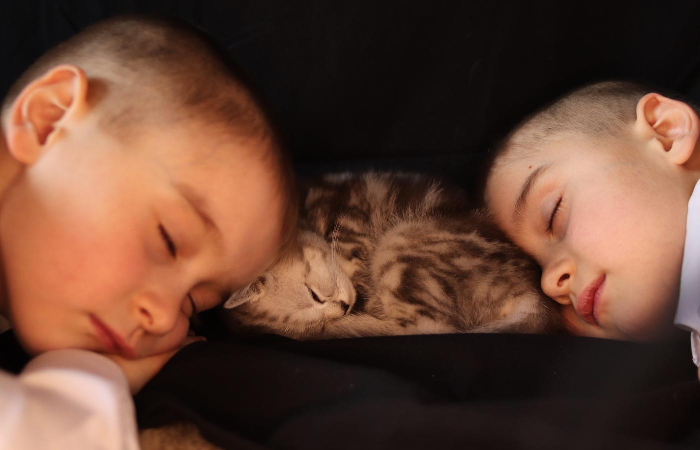 Two sleeping brothers curled around a kitten against a black background